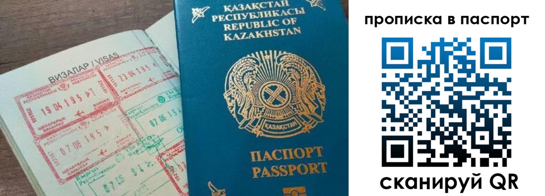 прописка поиск в Красном Куте